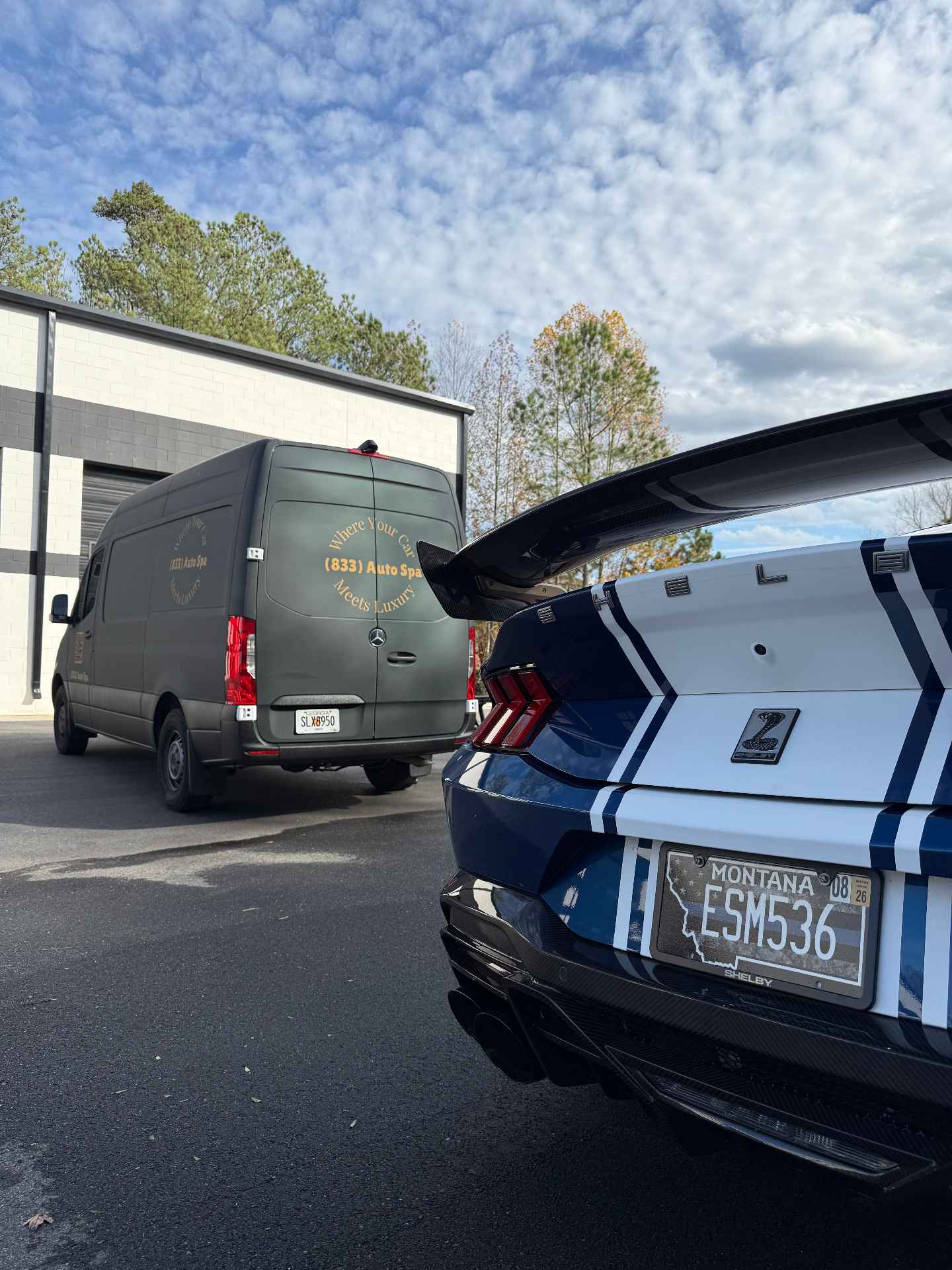 Shelby GT500 prepared for a concours show by 833 Auto Spa